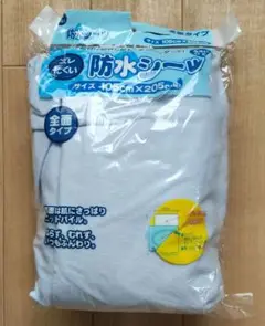 Item thumbnail for item 649a5ab6-4245-448e-84be-9098d0a68426