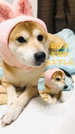 うさみみ帽子