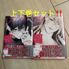 毒にくちづけ 上下　BL