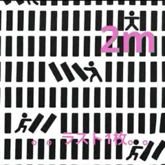 【特価】最終出品★ラスト1枚★オックス★ドミノ倒し〜★白✕黒★