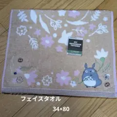 Item thumbnail for item 827b003c-b321-4264-a7af-ae1253e31b75