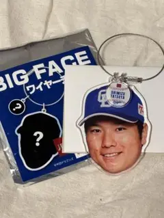 清水達也 BIG FACE ワイヤーチャーム