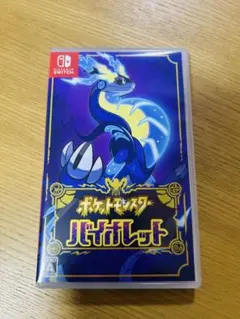 ポケットモンスター　バイオレット　Nintendo Switch