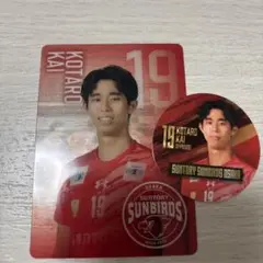 Item thumbnail for item fcc29aac-50d0-49eb-b3a3-74408ab793fd