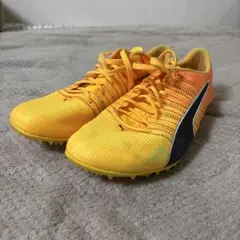 Item thumbnail for item 24223956-2ead-4bfb-a425-e7f9beabac1f