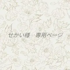 せかい様　専用ページ