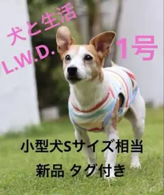 Item thumbnail for item 36fd28f2-28b0-43a0-9f97-cbaa459db9bd