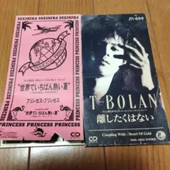 T-BOLAN 離したくはない 世界で一番暑い夏 　シングルCD　8センチCD