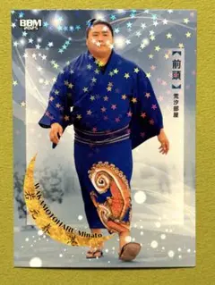 大相撲　若元春関　2025反物 浴衣生地　一反 大相撲 若元春 浴衣反物一反✨新品未使用 - メルカリ