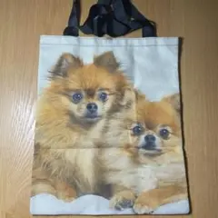 Item thumbnail for item 5616c1bb-3f5b-4312-8dba-d1abed001575