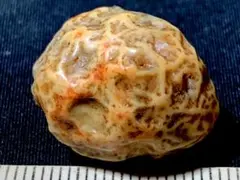 内蒙古阿拉善戈壁瑪瑙・筋脉石・2・9g(中国産鉱物標本)