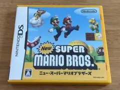 スーパーマリオブラザーズ　DS
