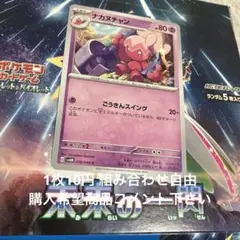 ナカヌチャン　在庫3