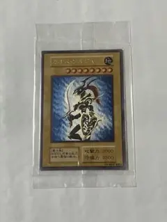 カオスソルジャー　ステンレス　未開封