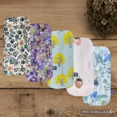 Item thumbnail for item 08ab30ca-26f4-4110-816e-77f1c8d3ab14