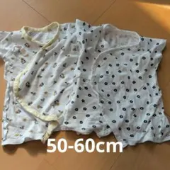 Item thumbnail for item 251fa94b-29d0-451d-a6f9-68728bfc34d6