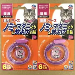 Item thumbnail for item d4744387-eb7b-43a8-bf65-5756fb74a479