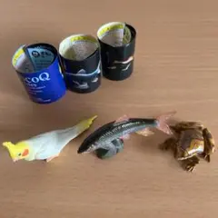 チョコQ  3個セット