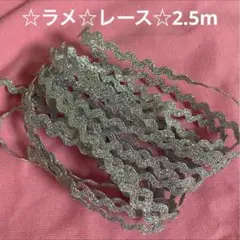 93☆ラメレース☆2.5m