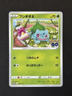 フシギダネ プロモ ポケモンGO センタリング良好