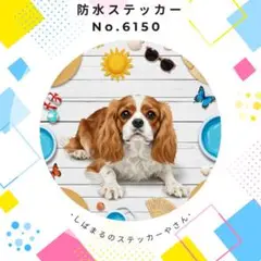 Item thumbnail for item 3d29d253-168d-4b35-aa64-e5c56bdcc45e