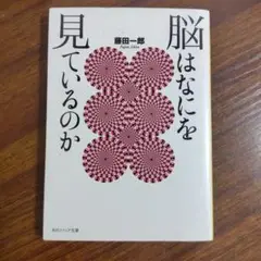 脳は何を見ているのか 藤田一郎 角川ソフィア文庫