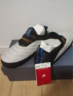 Item thumbnail for item 15528bc8-cf31-45b3-a9a3-caa81a6902d6