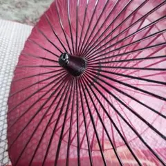 Item thumbnail for item 06c55165-4ba0-4c1d-b1de-10ccc53ef2ab