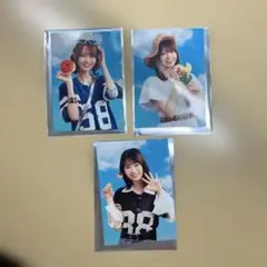 NOGI CAFE 2025 トレカ　弓木、冨里、増田