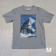 phenix　グレー　半袖Tシャツ　スキー　山　プリント　М