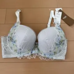 ウイングレシアージュe75 ブラジャー
