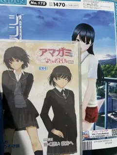 アマガミ ちょっとおまけ EX4 「書籍つき！」 おまけ全て付属