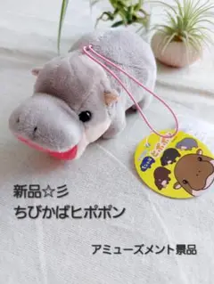 新品☆彡　ちびかばヒポポン　カバマスコット　アミューズ景品