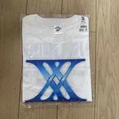 105 三代目 J Soul Brothers ＴシャツLサイズ
