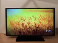 Item thumbnail for item 786764ff-7da7-479a-8011-7e4d57119dda