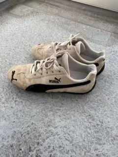 Item thumbnail for item 412522a0-1d59-420d-a851-be02db6b6910