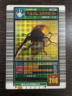 2025年最新】ヘルクレスオオカブト ロングバーコードの人気
