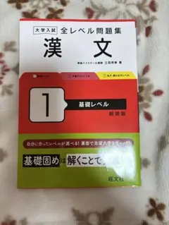 大学入試 漢文 1 基礎レベル 新装版