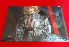 櫻坂46 4th YEAR ANNIVERSARY LIVE クリアファイル