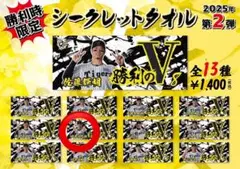 阪神タイガース　坂本誠志郎選手　勝利のVタオル