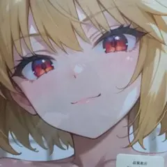 アルクェイド　抱き枕カバー　シークレット