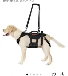 Item thumbnail for item 151dd6fb-5224-48d4-98cc-2a3d9ce35f47