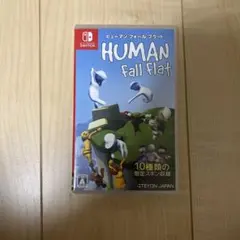 Nintendo Switch ヒューマンホールフラット ソフト