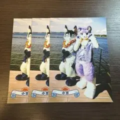 プロダクション体育館 なつみくじ パステリズム 3枚