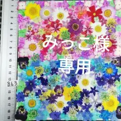 押し花素材　NO863 ノースボール ビオラ 紫陽花　バーベナ 小花　押し花