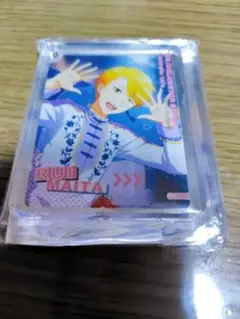 類　コロッタ