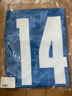 Item thumbnail for item 0f5ec11c-fdf0-4644-bdf6-6995407e0008