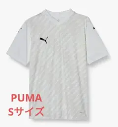 Item thumbnail for item 4bf06491-de67-49a7-af50-b355859b2c6b