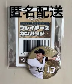 Item thumbnail for item 4103d851-bdd7-4d9e-826a-a748f5a59645