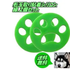 Item thumbnail for item d896dcf5-6a1f-4076-a62a-d3cefffe6eaa